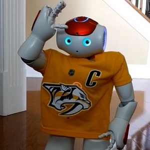 PredsFanRobot